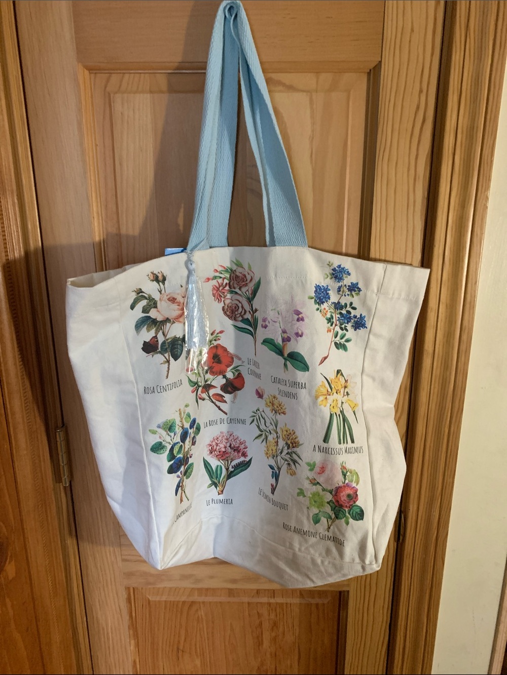 ⛅️ Botanical Canvas Tote Bag with Light Blue Straps & Accent Cord ⛅️